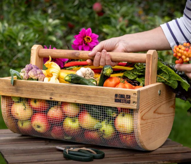 Screenshot 2025-10-31 193107